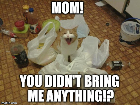 MOM! YOU DIDN'T BRING ME ANYTHING!? | image tagged in pouting prince | made w/ Imgflip meme maker