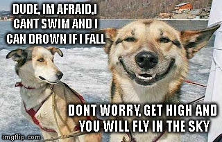 If you are past overdosed, you dont need to be afraid of drowning.  | DUDE, IM AFRAID,I CANT SWIM AND I CAN DROWN IF I FALL DONT WORRY, GET HIGH AND YOU WILL FLY IN THE SKY | image tagged in memes,original stoner dog | made w/ Imgflip meme maker