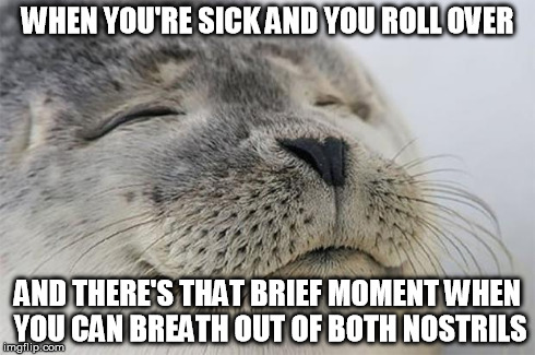 Satisfied Seal Meme | WHEN YOU'RE SICK AND YOU ROLL OVER AND THERE'S THAT BRIEF MOMENT WHEN YOU CAN BREATH OUT OF BOTH NOSTRILS | image tagged in memes,satisfied seal,AdviceAnimals | made w/ Imgflip meme maker