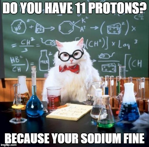 Chemistry Cat | DO YOU HAVE 11 PROTONS? BECAUSE YOUR SODIUM FINE | image tagged in memes,chemistry cat | made w/ Imgflip meme maker