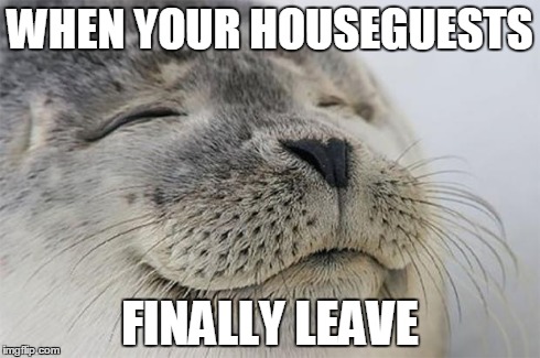 Satisfied Seal | WHEN YOUR HOUSEGUESTS FINALLY LEAVE | image tagged in memes,satisfied seal,AdviceAnimals | made w/ Imgflip meme maker