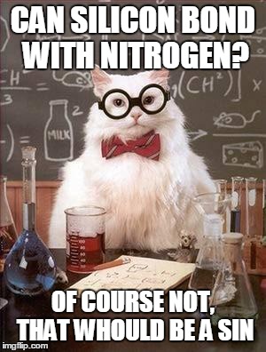 Chemistry Cat | CAN SILICON BOND WITH NITROGEN? OF COURSE NOT, THAT WHOULD BE A SIN | image tagged in chemistry cat,memes | made w/ Imgflip meme maker