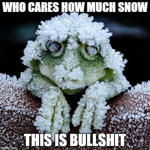 WHO CARES HOW MUCH SNOW THIS IS BULLSHIT | image tagged in snow | made w/ Imgflip meme maker