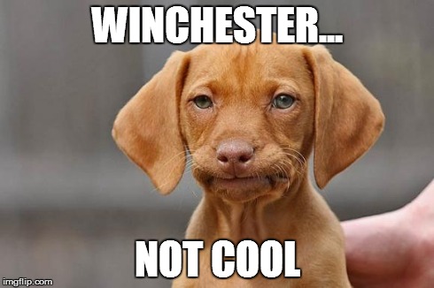 unamused dog | WINCHESTER... NOT COOL | image tagged in unamused dog | made w/ Imgflip meme maker