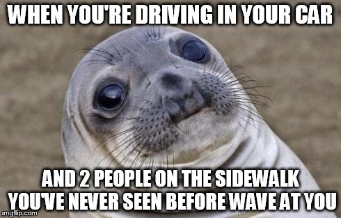 Awkward Moment Sealion | WHEN YOU'RE DRIVING IN YOUR CAR AND 2 PEOPLE ON THE SIDEWALK YOU'VE NEVER SEEN BEFORE WAVE AT YOU | image tagged in memes,awkward moment sealion | made w/ Imgflip meme maker