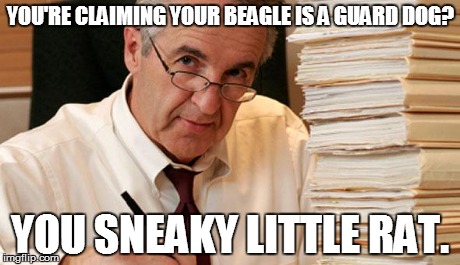 YOU'RE CLAIMING YOUR BEAGLE IS A GUARD DOG? YOU SNEAKY LITTLE RAT. | image tagged in morally ambiguous accountant | made w/ Imgflip meme maker