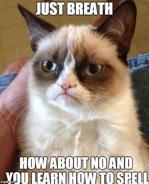 Grumpy Cat Meme | JUST BREATH HOW ABOUT NO AND YOU LEARN HOW TO SPELL | image tagged in memes,grumpy cat | made w/ Imgflip meme maker