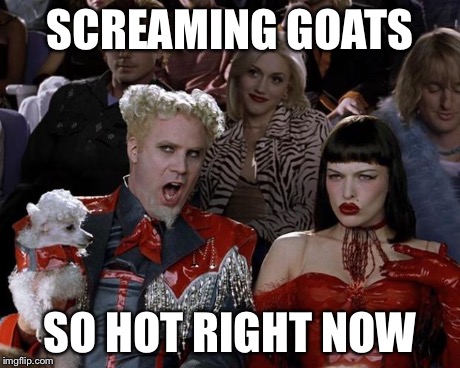 Mugatu So Hot Right Now | SCREAMING GOATS SO HOT RIGHT NOW | image tagged in memes,mugatu so hot right now | made w/ Imgflip meme maker