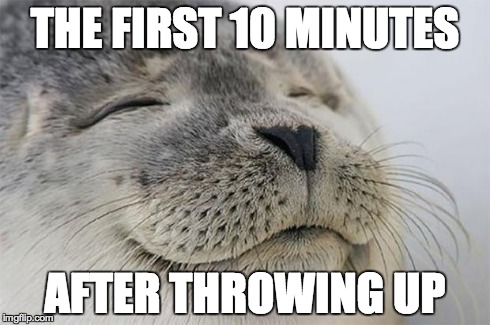 Satisfied Seal Meme | THE FIRST 10 MINUTES AFTER THROWING UP | image tagged in memes,satisfied seal | made w/ Imgflip meme maker