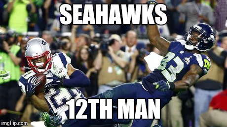 SEAHAWKS 12TH MAN | image tagged in seahawks | made w/ Imgflip meme maker