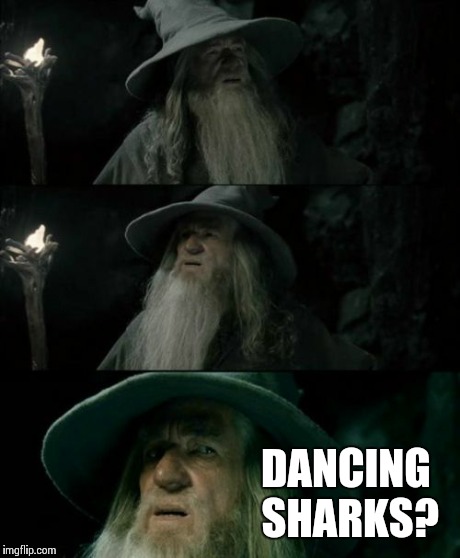 Confused Gandalf | DANCING SHARKS? | image tagged in memes,confused gandalf | made w/ Imgflip meme maker