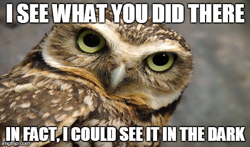 Owl - I See What You Did There | I SEE WHAT YOU DID THERE IN FACT, I COULD SEE IT IN THE DARK | image tagged in owls | made w/ Imgflip meme maker