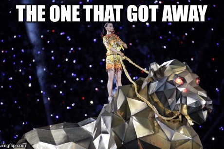 THE ONE THAT GOT AWAY | image tagged in katy perry,super bowl | made w/ Imgflip meme maker