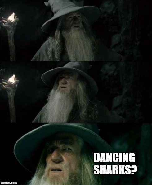 Confused Gandalf | DANCING SHARKS? | image tagged in memes,confused gandalf,AdviceAnimals | made w/ Imgflip meme maker