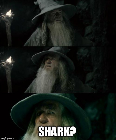 Confused Gandalf | SHARK? | image tagged in memes,confused gandalf | made w/ Imgflip meme maker