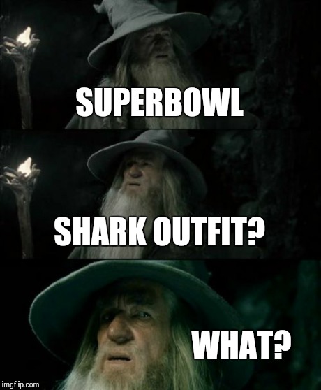 Confused Gandalf | SUPERBOWL SHARK OUTFIT? WHAT? | image tagged in memes,confused gandalf,funny | made w/ Imgflip meme maker
