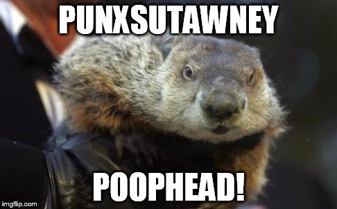 Punxsutawney poophead! | PUNXSUTAWNEY POOPHEAD! | image tagged in groundhog day | made w/ Imgflip meme maker