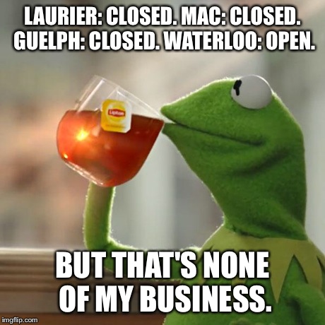 But That's None Of My Business Meme | LAURIER: CLOSED. MAC: CLOSED. GUELPH: CLOSED. WATERLOO: OPEN. BUT THAT'S NONE OF MY BUSINESS. | image tagged in memes,but thats none of my business,kermit the frog | made w/ Imgflip meme maker