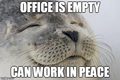 Satisfied Seal Meme | OFFICE IS EMPTY CAN WORK IN PEACE | image tagged in memes,satisfied seal,ProgrammerHumor | made w/ Imgflip meme maker