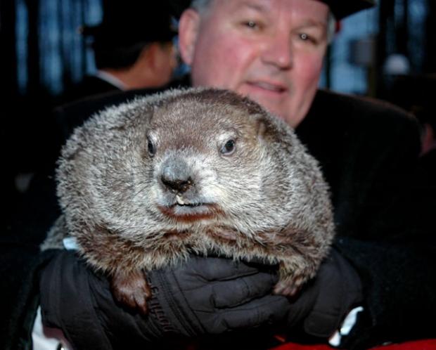 High Quality Groundhog and dude Blank Meme Template