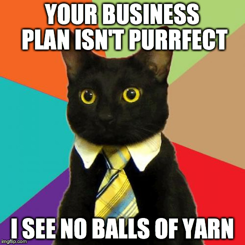 Business Cat Meme | YOUR BUSINESS PLAN ISN'T PURRFECT I SEE NO BALLS OF YARN | image tagged in memes,business cat | made w/ Imgflip meme maker