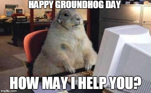 Working Groundhog | HAPPY GROUNDHOG DAY HOW MAY I HELP YOU? | image tagged in working groundhog | made w/ Imgflip meme maker