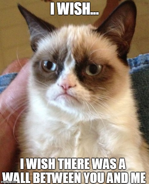 Grumpy Cat | I WISH... I WISH THERE WAS A WALL BETWEEN YOU AND ME | image tagged in memes,grumpy cat | made w/ Imgflip meme maker