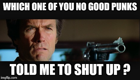 Clint Eastwood | WHICH ONE OF YOU NO GOOD PUNKS TOLD ME TO SHUT UP ? | image tagged in clint eastwood | made w/ Imgflip meme maker