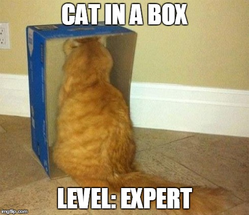Cats and their boxes. | CAT IN A BOX LEVEL: EXPERT | image tagged in interesting cat | made w/ Imgflip meme maker