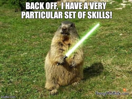Skills | BACK OFF, I HAVE A VERY PARTICULAR SET OF SKILLS! | image tagged in skills | made w/ Imgflip meme maker
