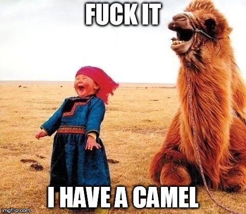 F**K IT I HAVE A CAMEL | image tagged in i have a camel | made w/ Imgflip meme maker