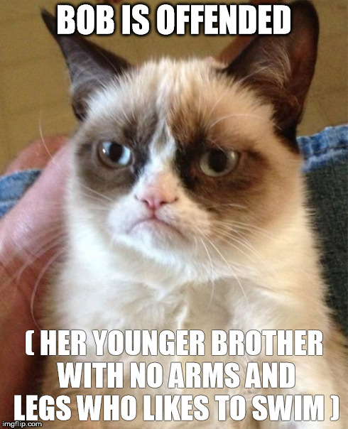 Grumpy Cat Meme | BOB IS OFFENDED ( HER YOUNGER BROTHER WITH NO ARMS AND LEGS WHO LIKES TO SWIM ) | image tagged in memes,grumpy cat | made w/ Imgflip meme maker