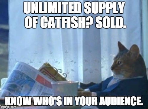 I Should Buy A Boat Cat Meme | UNLIMITED SUPPLY OF CATFISH? SOLD. KNOW WHO'S IN YOUR AUDIENCE. | image tagged in memes,i should buy a boat cat | made w/ Imgflip meme maker