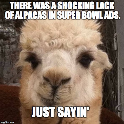 THERE WAS A SHOCKING LACK OF ALPACAS IN SUPER BOWL ADS. JUST SAYIN' | image tagged in alpaca smirk | made w/ Imgflip meme maker