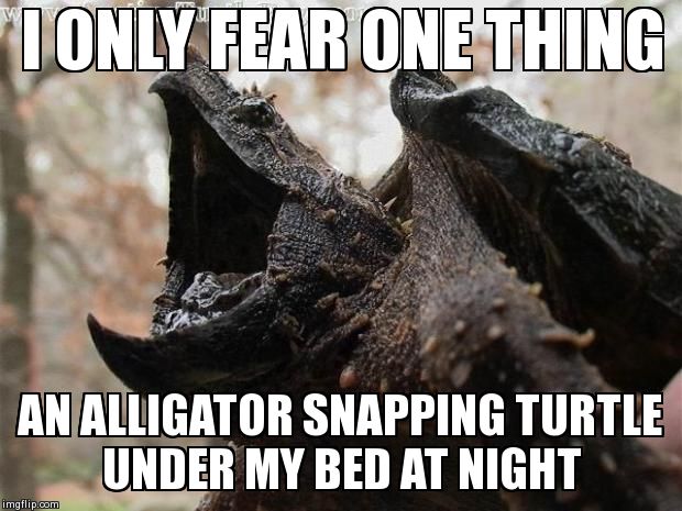 I ONLY FEAR ONE THING AN ALLIGATOR SNAPPING TURTLE UNDER MY BED AT NIGHT | image tagged in fear not | made w/ Imgflip meme maker