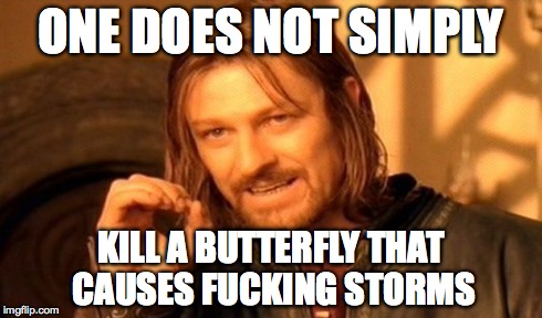 ONE DOES NOT SIMPLY KILL A BUTTERFLY THAT CAUSES F**KING STORMS | image tagged in memes,one does not simply | made w/ Imgflip meme maker