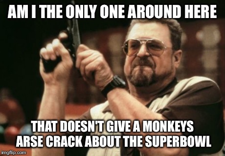Am I The Only One Around Here | AM I THE ONLY ONE AROUND HERE THAT DOESN'T GIVE A MONKEYS ARSE CRACK ABOUT THE SUPERBOWL | image tagged in memes,am i the only one around here | made w/ Imgflip meme maker