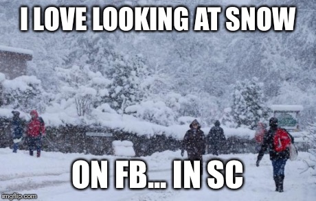 I LOVE LOOKING AT SNOW ON FB... IN SC | image tagged in i love snow | made w/ Imgflip meme maker
