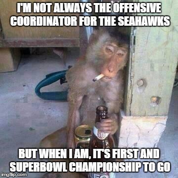 Drunken Ass monkey | I'M NOT ALWAYS THE OFFENSIVE COORDINATOR FOR THE SEAHAWKS BUT WHEN I AM, IT'S FIRST AND SUPERBOWL CHAMPIONSHIP TO GO | image tagged in drunken ass monkey,memes | made w/ Imgflip meme maker