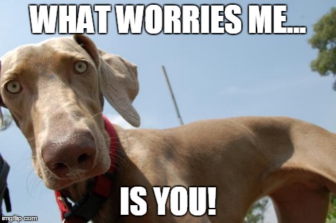 Hello! | WHAT WORRIES ME... IS YOU! | image tagged in hello | made w/ Imgflip meme maker