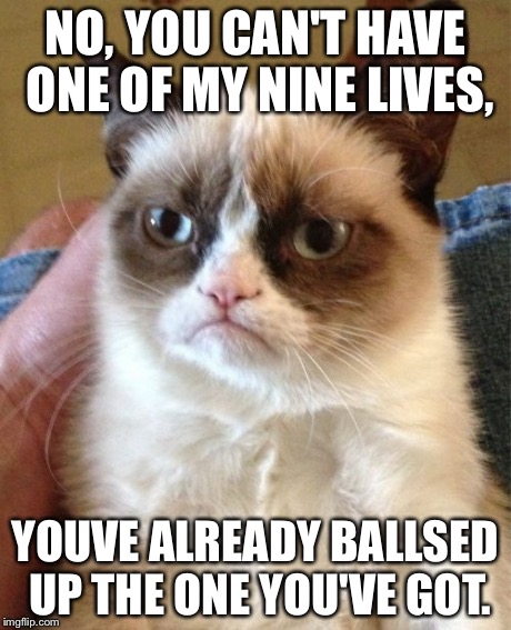 Grumpy Cat | NO, YOU CAN'T HAVE ONE OF MY NINE LIVES, YOUVE ALREADY BALLSED UP THE ONE YOU'VE GOT. | image tagged in memes,grumpy cat | made w/ Imgflip meme maker