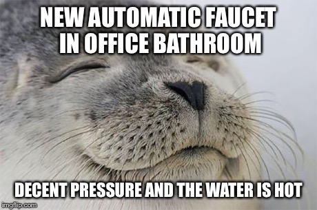 Satisfied Seal | NEW AUTOMATIC FAUCET IN OFFICE BATHROOM DECENT PRESSURE AND THE WATER IS HOT | image tagged in memes,satisfied seal | made w/ Imgflip meme maker