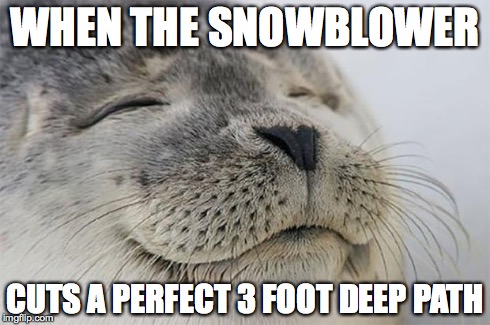 Satisfied Seal | WHEN THE SNOWBLOWER CUTS A PERFECT 3 FOOT DEEP PATH | image tagged in memes,satisfied seal | made w/ Imgflip meme maker