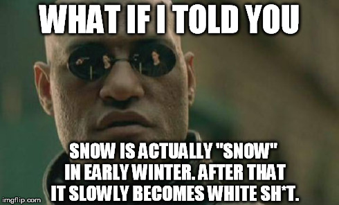 Matrix Morpheus Meme | WHAT IF I TOLD YOU SNOW IS ACTUALLY "SNOW" IN EARLY WINTER. AFTER THAT IT SLOWLY BECOMES WHITE SH*T. | image tagged in memes,matrix morpheus | made w/ Imgflip meme maker
