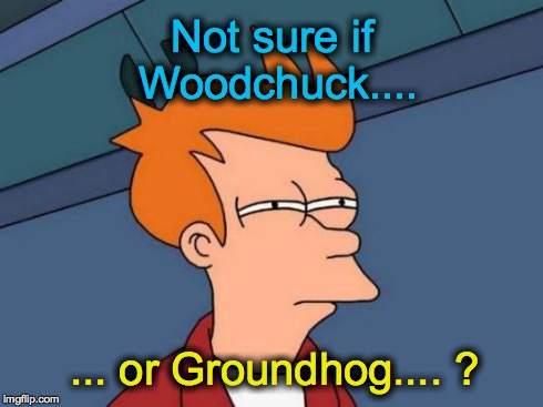Futurama Fry | Not sure if Woodchuck.... ... or Groundhog.... ? | image tagged in memes,futurama fry | made w/ Imgflip meme maker