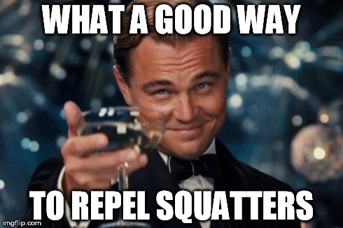 Leonardo Dicaprio Cheers Meme | WHAT A GOOD WAY TO REPEL SQUATTERS | image tagged in memes,leonardo dicaprio cheers | made w/ Imgflip meme maker