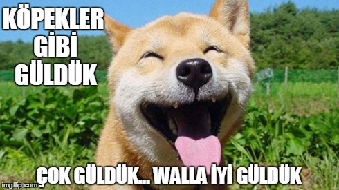Laughing Dog | KÖPEKLER GİBİ GÜLDÜK ÇOK GÜLDÜK... WALLA İYİ GÜLDÜK | image tagged in laughing dog | made w/ Imgflip meme maker