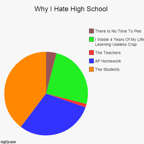 image tagged in funny,pie charts | made w/ Imgflip chart maker