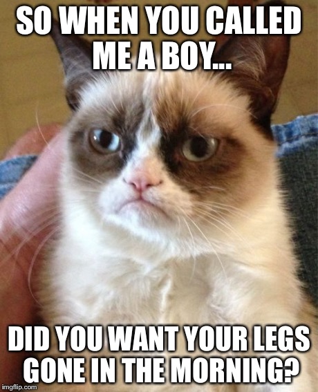 Grumpy Cat Meme | SO WHEN YOU CALLED ME A BOY... DID YOU WANT YOUR LEGS GONE IN THE MORNING? | image tagged in memes,grumpy cat | made w/ Imgflip meme maker