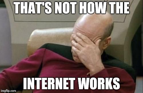 Captain Picard Facepalm Meme | THAT'S NOT HOW THE INTERNET WORKS | image tagged in memes,captain picard facepalm | made w/ Imgflip meme maker